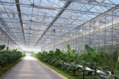 農業(yè)溫室智能監(jiān)控系統(tǒng)解決方案