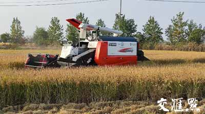 移動(dòng)物聯(lián)網(wǎng)應(yīng)用①｜手機(jī)上種田，無人化種田！智慧農(nóng)場“智”在哪？